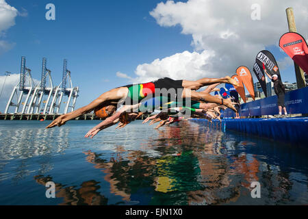 Auckland, Nuova Zelanda, funzione, evidenziare. 29 Mar, 2015. Auckland, Nuova Zelanda - 29 Marzo 2015 - Gli atleti saltare in acqua durante la fase di nuoto al 2015 International Triathlon World Serie Elite Uomini su Marzo 29, 2015 a Auckland, Nuova Zelanda, funzione, evidenziare. © dpa/Alamy Live News Foto Stock