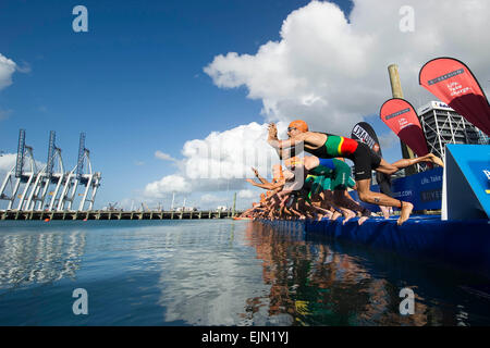 Auckland, Nuova Zelanda, funzione, evidenziare. 29 Mar, 2015. Auckland, Nuova Zelanda - 29 Marzo 2015 - Gli atleti saltare in acqua durante la fase di nuoto al 2015 International Triathlon World Serie Elite Uomini su Marzo 29, 2015 a Auckland, Nuova Zelanda, funzione, evidenziare. © dpa/Alamy Live News Foto Stock