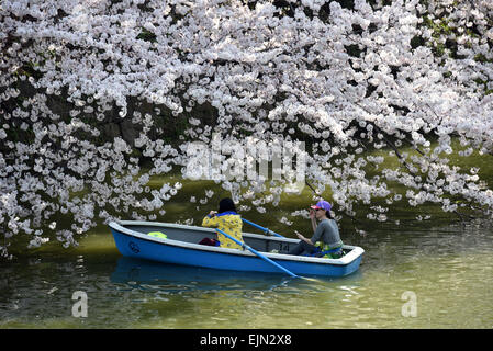 Tokyo, Giappone. 30 Mar, 2015. Alcune persone preferiscono visualizzare fiori ciliegio da barche a remi Tokyo's Chidoriga-fuchi fossato imperiale di sunny Lunedì, 30 marzo 2015, come la capitale della nazione di apprezzare il loro etereo, effimero, delicata bellezza in sintonia con la tradizione secolare. Credito: Natsuki Sakai/AFLO/Alamy Live News Foto Stock