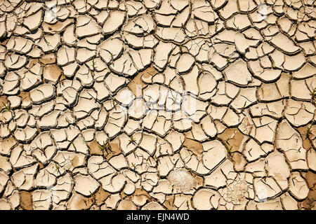 Modello del terreno prosciugato dalla siccità clima Foto Stock