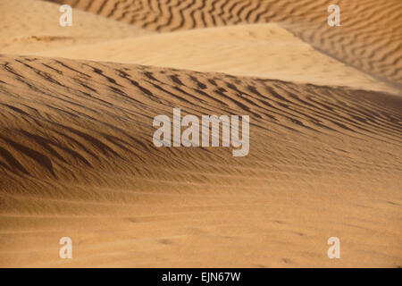 Soffiando sabbia a Wahiba Sands (Sharqiya Sands), Oman Foto Stock