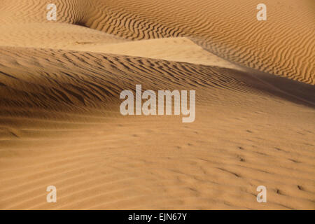 Soffiando sabbia a Wahiba Sands (Sharqiya Sands), Oman Foto Stock