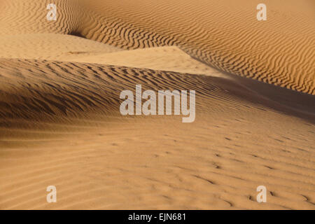 Soffiando sabbia a Wahiba Sands (Sharqiya Sands), Oman Foto Stock