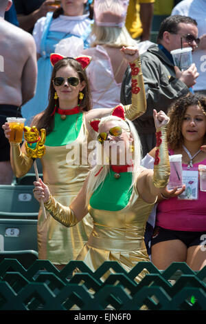 Hong Kong, Cina. 28 Mar, 2015. La famosa South Stand ad Hong Kong stadium durante la Hong Kong 7's di Rugby. Credito: Jayne Russell/Alamy Live News Foto Stock