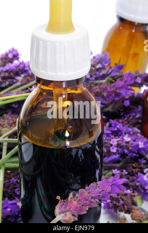 Un mucchio di fiori di lavanda e alcuni flaconi a contagocce con rimedi naturali su sfondo bianco Foto Stock