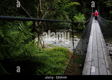 Gli escursionisti a piedi ponte a Monro beach trail attraverso subtropicale foresta di pioggia Nuova Zelanda Foto Stock