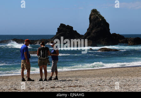 Gli escursionisti sulla spiaggia di Monro Nuova Zelanda Foto Stock