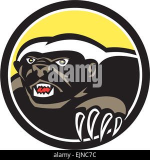 Illustrazione di un miele badger (Mellivora capensis) con artigli noto anche come ratel testa rivolta sul lato isolato sfondo impostato all'interno del cerchio fatto in stile retrò. Foto Stock