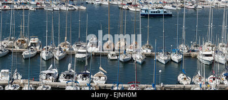 Toulon, Francia ferry boat barche a vela marina panorama 6099 Foto Stock