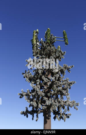 Telefono cellulare torre dissimulata come un abete contro il cielo blu chiaro Foto Stock