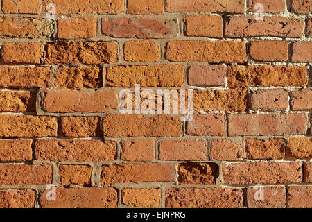 Malridotti rosso PARETE DI MATTONI Foto Stock