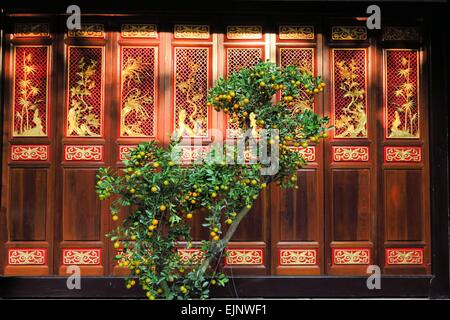 Arancio nella parte anteriore della porta di legno, tempio buddista, a Saigon, Vietnam Foto Stock