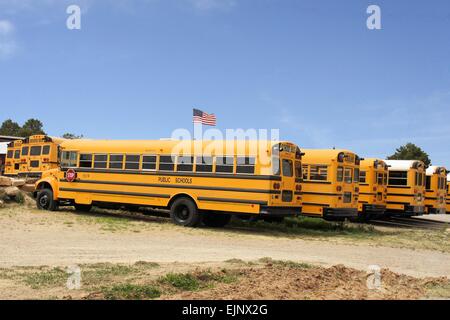 Fila di American School Bus, STATI UNITI D'AMERICA Foto Stock