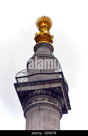 Il monumento. Pesce Street Hill, London, England, Regno Unito, Europa. Foto Stock