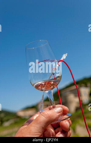 Degustazione di vino holiday intorno i vigneti di Gigondas AOC. Vaucluse. Provence-Alpes-Côte d'Azur regione. Francia Foto Stock