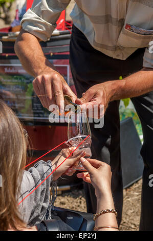 Degustazione di vino holiday intorno i vigneti di Gigondas AOC. Vaucluse. Provence-Alpes-Côte d'Azur regione. Francia Foto Stock