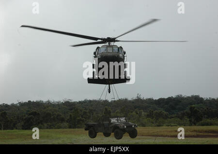 Piloti ed equipaggio dal C Company, 2° Battaglione, XXV Reggimento di aviazione, XXV Combattere la Brigata Aerea, di manovrare un UH-60L Blackhawk elicottero con un HMMWV durante l'ispettore Sling-Load Corso di certificazione a Schofield caserma" oriente gamma, Feb. 12. Foto Stock