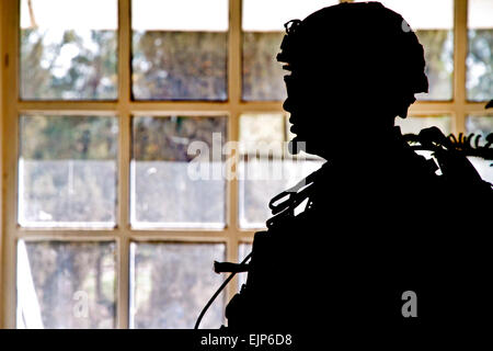 Stati Uniti Army Spc. David White, una forza di sicurezza membro del team per il Provincial Reconstruction Team PRT Farah, sta di guardia durante un leader chiave di impegno nella città di Farah, nov. 18. PRT Farah ha la missione di treno, consigliare e assistere il governo afgano leader a livello comunale, District e provinciali nella provincia di Farah, Afghanistan. Il civile squadra militare è composta di membri dell'U.S. Navy, U.S. Esercito, U.S. Dipartimento di Stato e l'Agenzia per lo Sviluppo Internazionale USAID. HMC Josh Ives/rilasciato Foto Stock