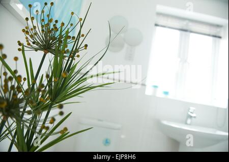 Pianta di casa stanza da bagno suite bianca lavello chrome cassetta idrosanitaria pareti piastrellate casa nuova build builder per la vendita Foto Stock