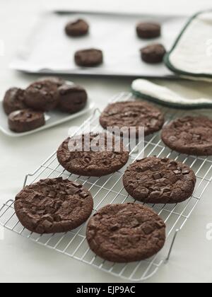 Choc chip cookies biscotti sul raffreddamento per rack Foto Stock