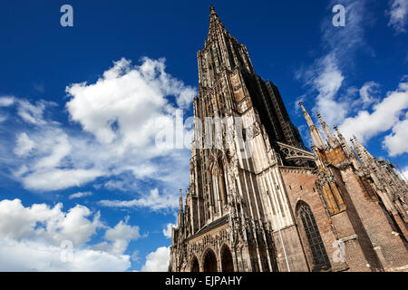Ulm Minster, più alte del mondo guglia della chiesa, GERMANIA Baden-Wuerttemberg Foto Stock
