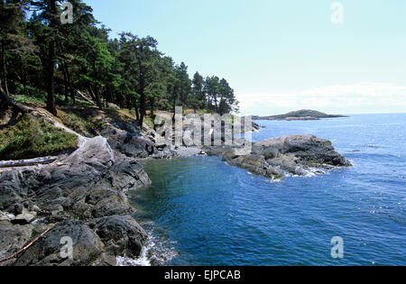 Shark Reef Santuario è un ottimo posto per fare escursioni a piedi - e la guarnizione di tenuta e la lontra guardando su Lopez Island, le Isole San Juan, Washington, USA Foto Stock