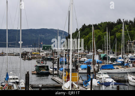 Cowichan Bay vicino a Duncan, sull'Isola di Vancouver in British Columbia. Foto Stock