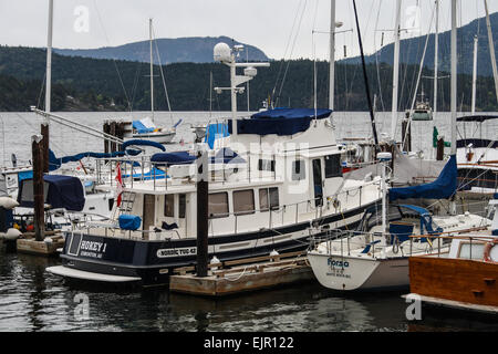 Cowichan Bay vicino a Duncan, sull'Isola di Vancouver in British Columbia. Foto Stock