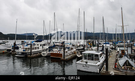 Cowichan Bay vicino a Duncan, sull'Isola di Vancouver in British Columbia. Foto Stock