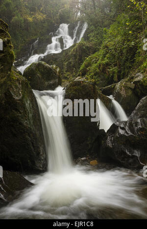 Vista della cascata Torc Waterfall, Owengarriff River, Killarney N.P., nella contea di kerry, munster, irlanda, Dicembre Foto Stock