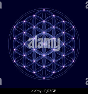 Cosmic Fiore della Vita con le stelle su sfondo blu scuro, un simbolo spirituale e Geometria Sacra fin dai tempi antichi. Foto Stock