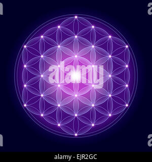Fiore luminoso di vita con stelle su sfondo blu scuro, un simbolo spirituale e Geometria Sacra fin dai tempi antichi. Foto Stock