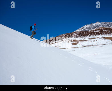 Escursionista maschio in coperta di neve Parco Nazionale del Teide Tenerife, Isole Canarie, Spagna Foto Stock