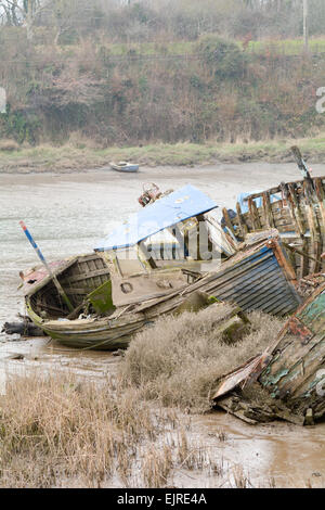 Due vecchie danneggiato marciume barche lasciata decadere sul fiume Taw, Fremington, Devon, Inghilterra Foto Stock