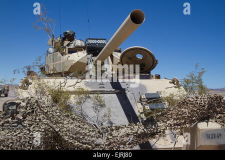 Un Trooper con B Troop, 1° Stormo, undicesimo Armored reggimento di cavalleria, comunica le posizioni nemiche alla sede superiore durante un mese di giugno 15, situazionale esercizio di formazione a Fort Irwin, California L'esercizio era parte dell'azione decisiva esercizio di rotazione finalizzato a preparare warriors dal 2 ° brigata Team di combattimento, 4a divisione di fanteria per futuri conflitti. Sgt. Erik A. Thurman, undicesimo Armored reggimento di cavalleria, Affari pubblici Foto Stock