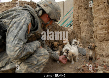 Stati Uniti Army Spc. David Cartwright da Martinsburg, W. Va., del primo plotone, 230th Polizia Militare Company, 793rd Polizia Militare battaglione, XVIII Polizia Militare brigata, migliora le relazioni tra comunità impegnandosi con locali irachene cuccioli presso la polizia irachena i distretti in Mahawil, Iraq, il 21 dicembre. Foto Stock