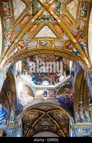 Parma, la Basilica Cattedrale interno, vista della cupola con l'affresco dell'Assunzione della Vergine eseguito da Correggio Foto Stock