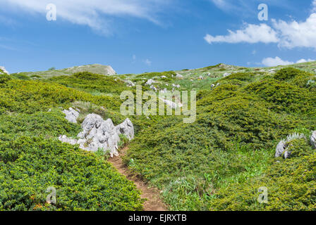 Paesaggio di primavera con il percorso escursionistico nelle montagne della Crimea. Foto Stock