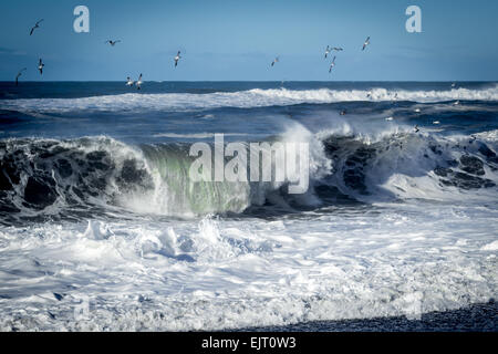 Un enorme ondata si blocca sulla spiaggia. Foto Stock