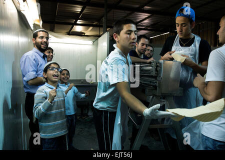 Moshav Berekhya. 31 Mar, 2015. Gli uomini ebrei preparare speciali Matzo, una tradizionale Pasqua fatti a mano il pane azzimo, in corrispondenza di un panificio Berekhya moshav vicino ad Ashkelon, southren Israele, il 31 marzo 2015. Matzo è un pane azzimo tradizionalmente consumato dagli ebrei durante la settimana di vacanza di Pasqua quando mangiare chametz, pane e altri cibi a base di grano lievitato è vietata in base al Jewish legge religiosa. Credito: Xinhua/Alamy Live News Foto Stock