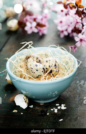Quaglia uova di pasqua in abowl e molla fiori ciliegio sul tavolo di legno