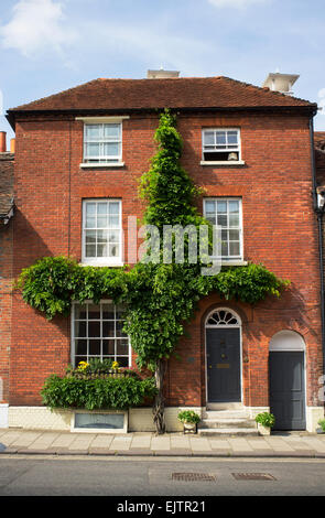 Il Glicine cresce la parte anteriore di una casa a Henley, Oxfordshire, Regno Unito. Foto Stock