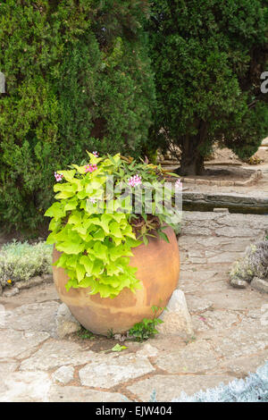 Antico e grande pentola di creta a Balchik Giardino Botanico, Bulgaria Foto Stock