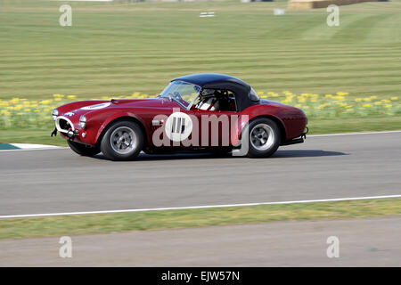 AC Cobra Foto Stock