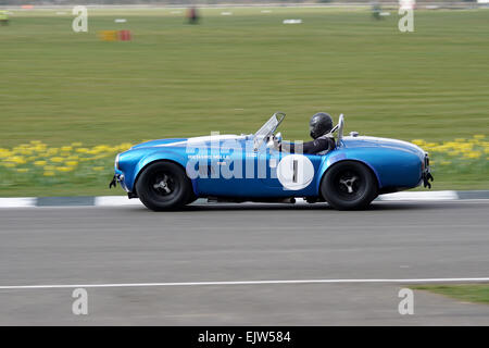 AC Cobra Foto Stock