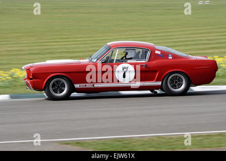 Il Red Ford Shelby Mustang GT350 di Germano Reale e Winchester duro di curva al Goodwood Assemblea dei soci 2015 Foto Stock