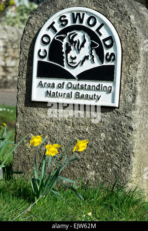 Il daffodils della molla nella parte anteriore del Cotswolds " zona di straordinaria bellezza naturale segno. Burford, Regno Unito Foto Stock