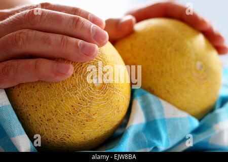 Gli uomini con le mani in mano tenendo due Melone Galia su bianco-blu asciugamano, soft focus Foto Stock