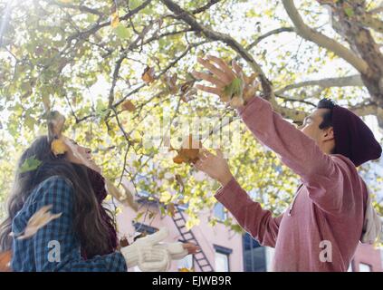 Stati Uniti d'America, nello Stato di New York, New York, Brooklyn, coppia giovane gettando le foglie di autunno Foto Stock