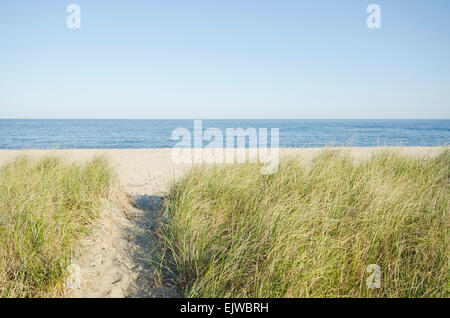 Stati Uniti d'America, Massachusetts, Nantucket, Siasconset, il percorso che conduce alla spiaggia Foto Stock